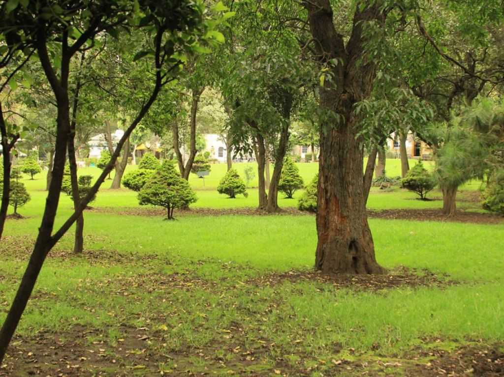 Parque Ecológico Loreto y Peña Pobre