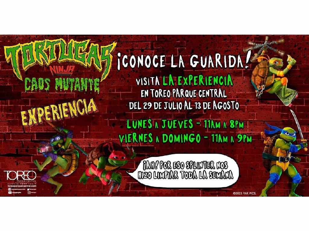 Las Tortugas Ninja llegan a CDMX ¡Conoce la nueva experiencia! 0