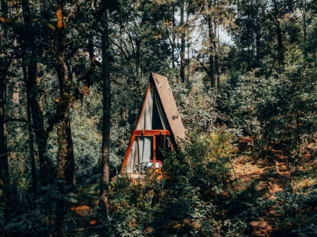 Wander Cabins, glamping de lujo pet friendly y actividades al aire libre