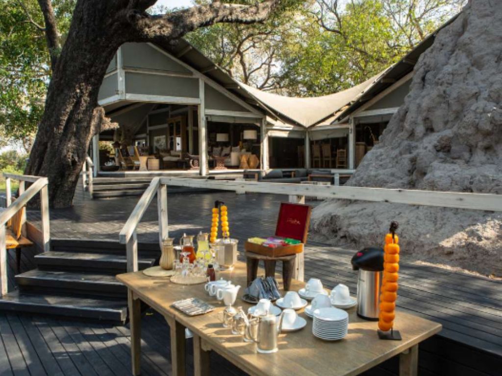 Wilderness: descubre el lado foodie de un safari