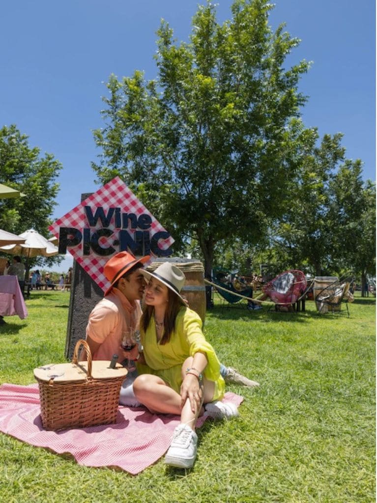 WINE PICNIC