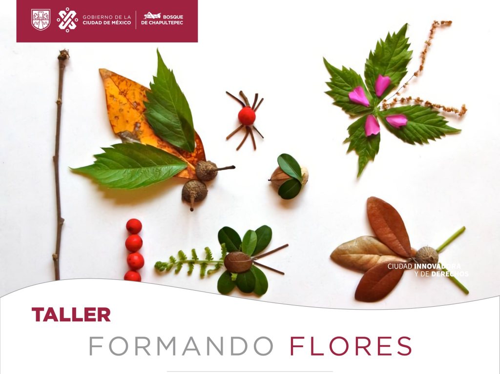 Taller Formado Flores Chapultepec