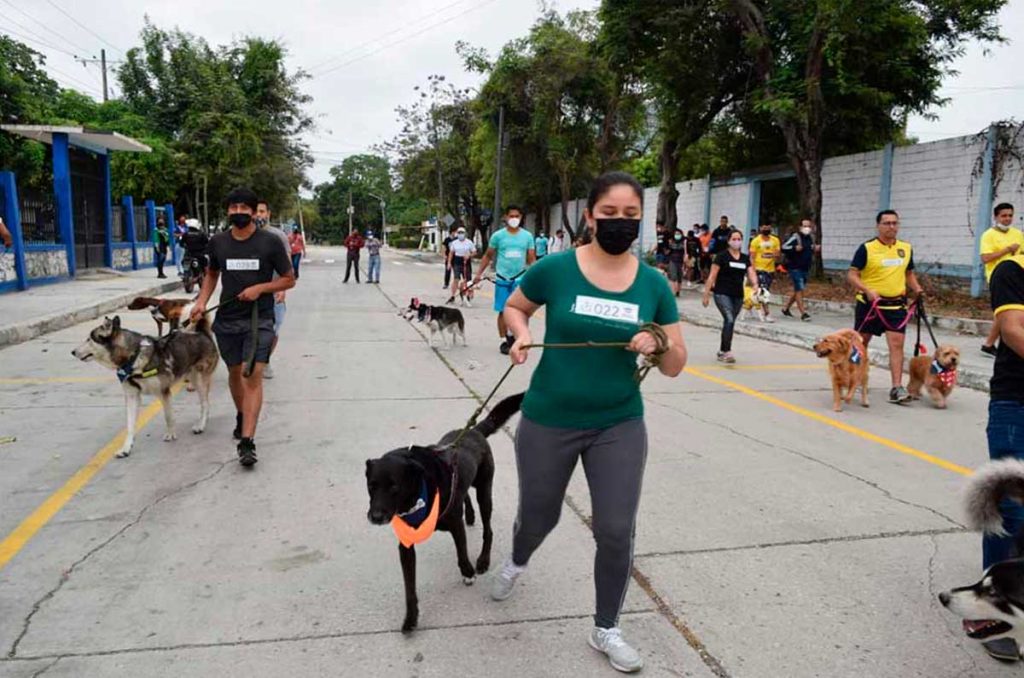 Carrera perritos en fuga