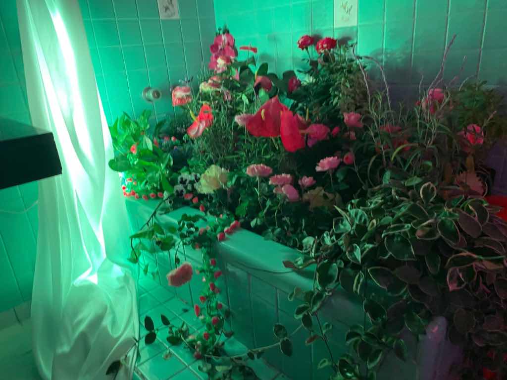Casa Eroteca 2023: actividades para explorar el erotismo en verano 1