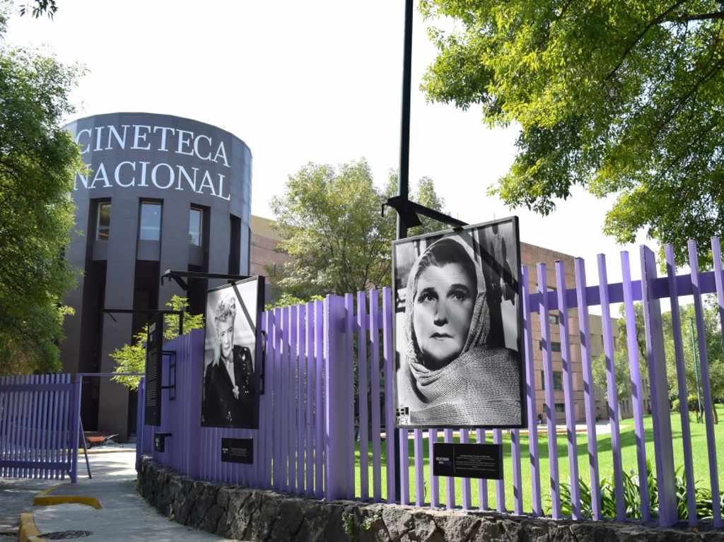 Cineteca de las Artes  áreas verdes