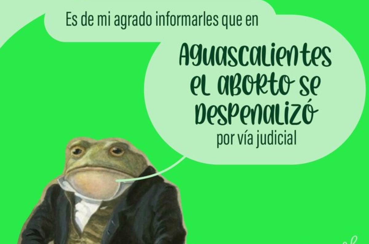 ¡Suprema Corte aprueba la despenalización del aborto en Aguascalientes!
