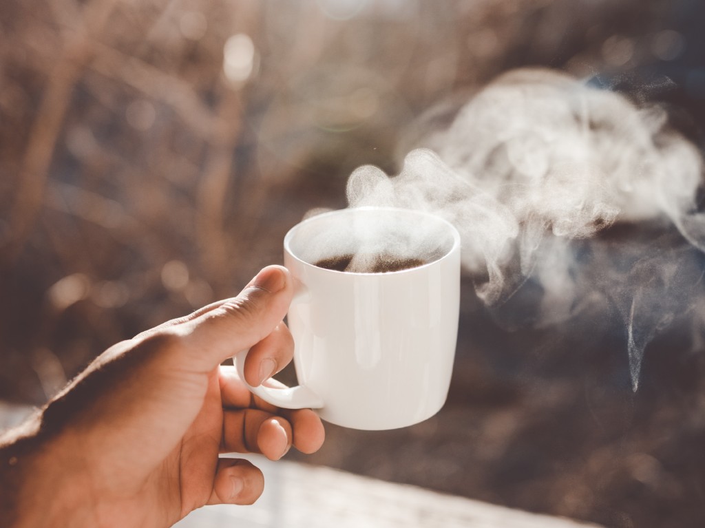 Expo Café 2023