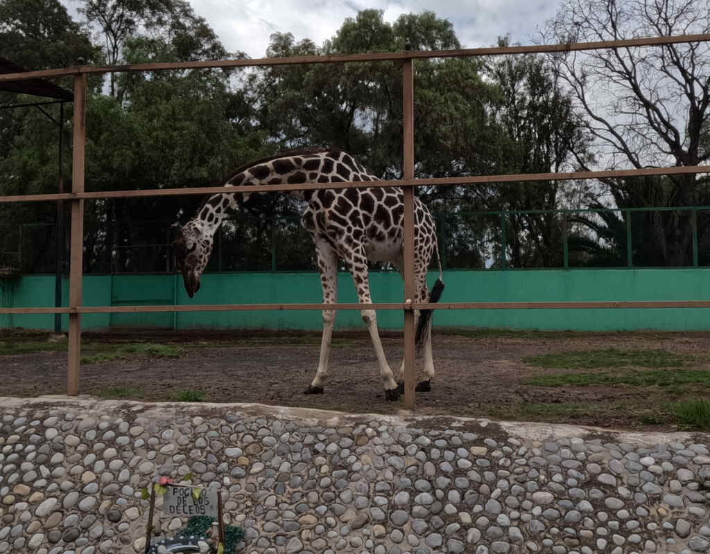 Zoológico Parque del Pueblo, en Neza