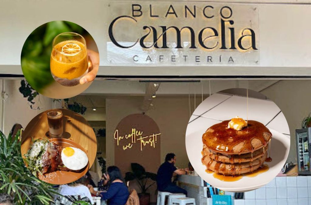 Blanco Camelia: la cafetería con desayunos "all day" en la Roma Sur