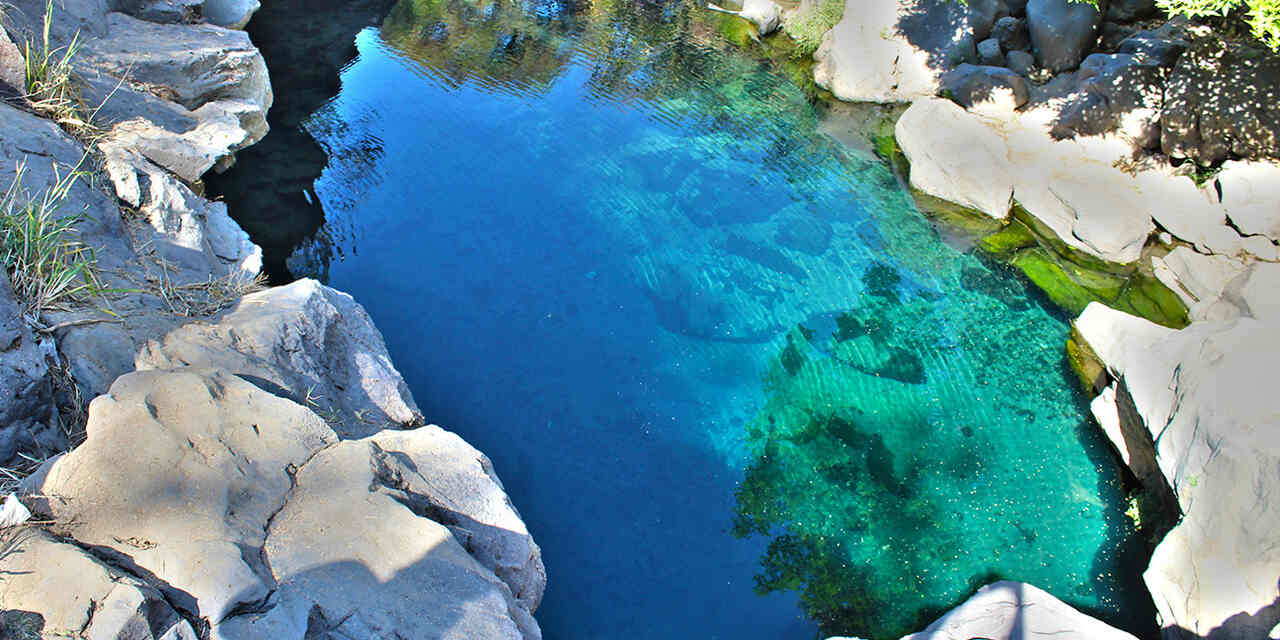 Cenotes cerca de CDMX