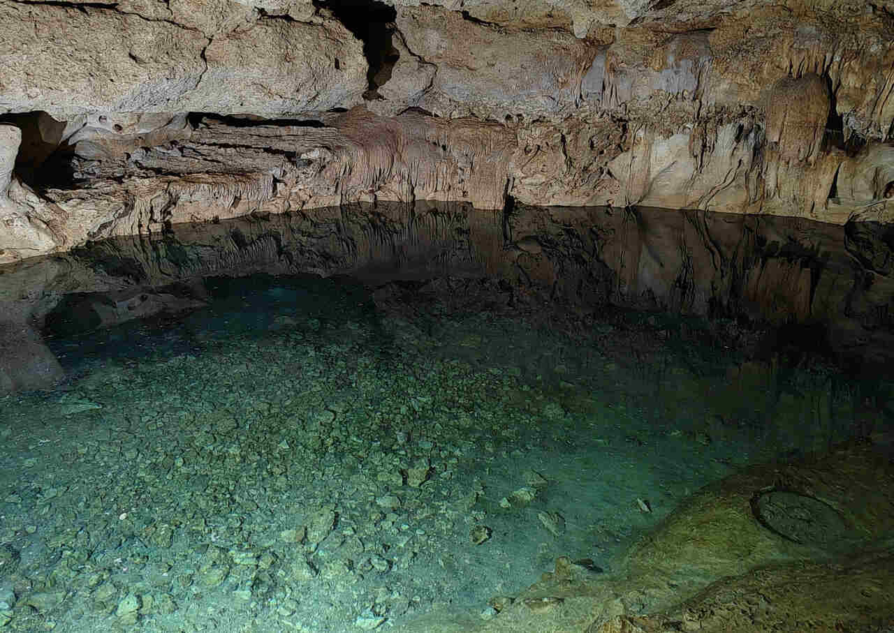 Cenotes cerca de CDMX: ¡lánzate a conocerlos! 0