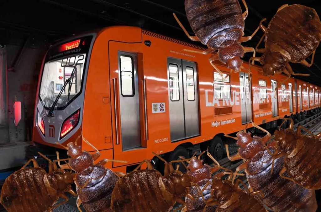 Plaga de chinches en el Metro de la CDMX: ¡No te arriesgues!