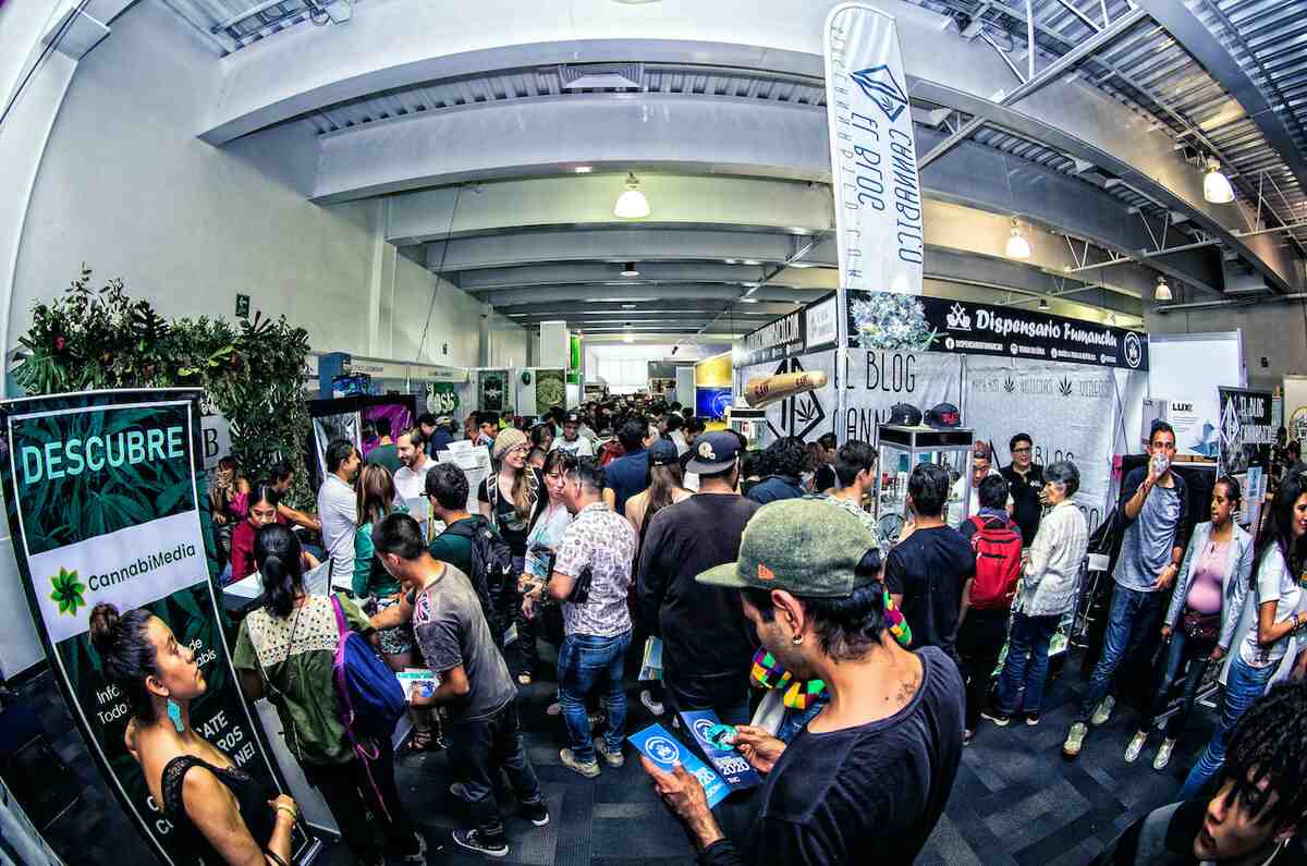 Expoweed 2023: ¡la feria del cannabis en América está de vuelta en CDMX!