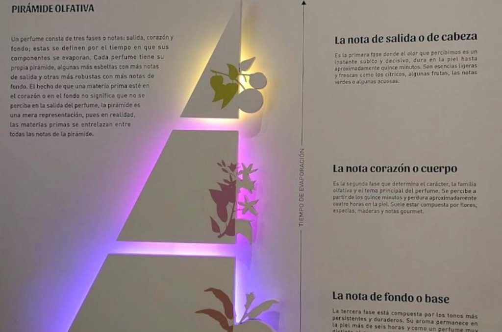 Museo del Perfume en CDMX ¡Visita este museo inmersivo! 3