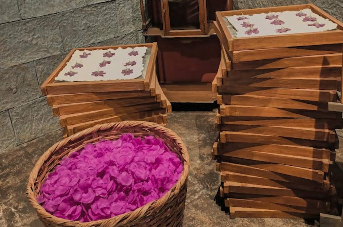 mupe-museo-del-perfume