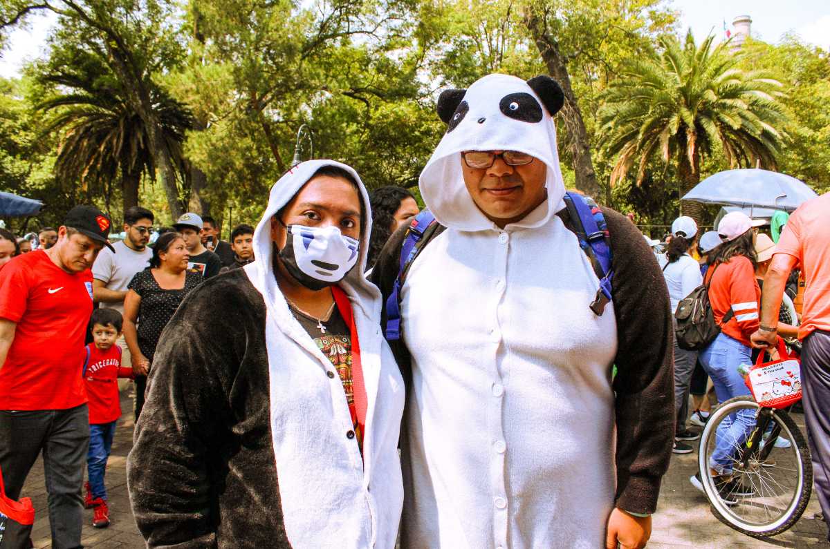 Panda Race 2023: Carrera temática de pandas en Chapultepec