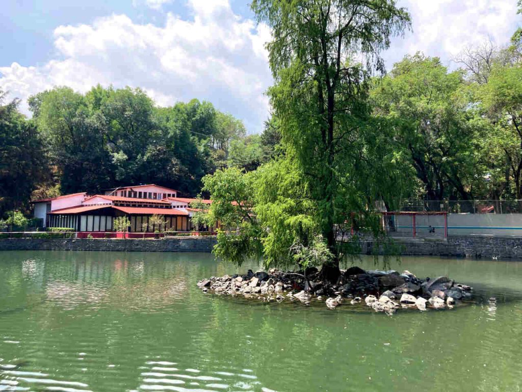 Parque Nacional Fuentes Brotantes: conecta con la naturaleza sin salir de CDMX 1