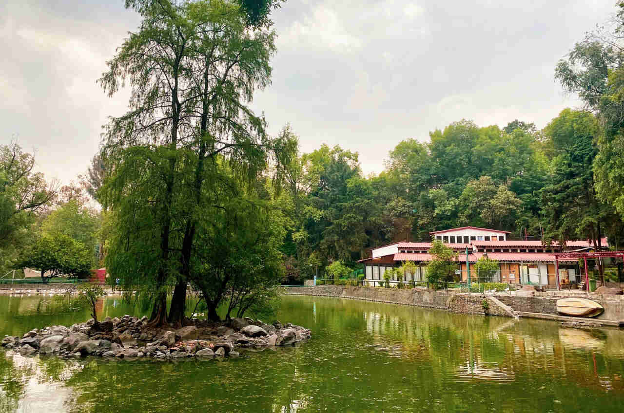 Parque Nacional Fuentes Brotantes: conecta con la naturaleza sin salir de CDMX