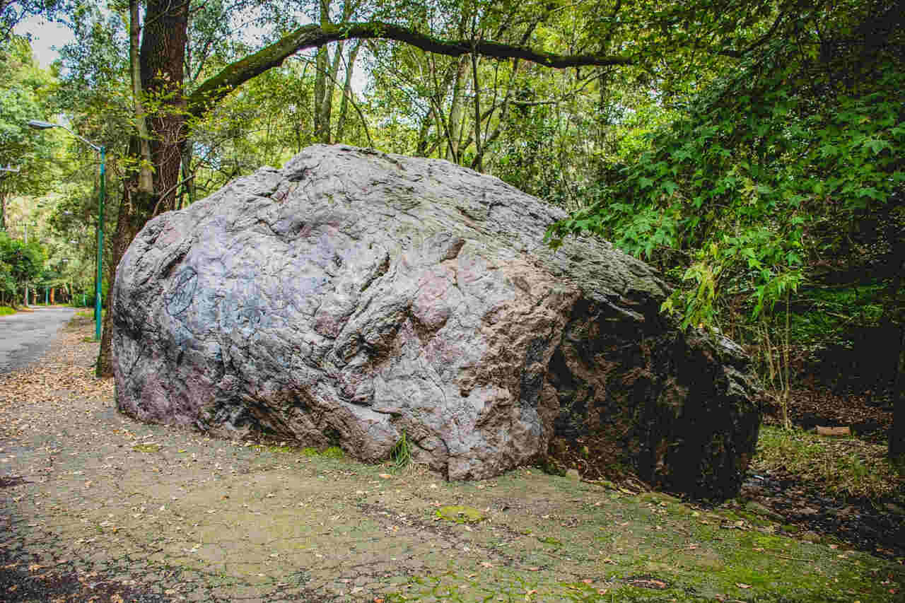 Parque Nacional Fuentes Brotantes: conecta con la naturaleza sin salir de CDMX 0