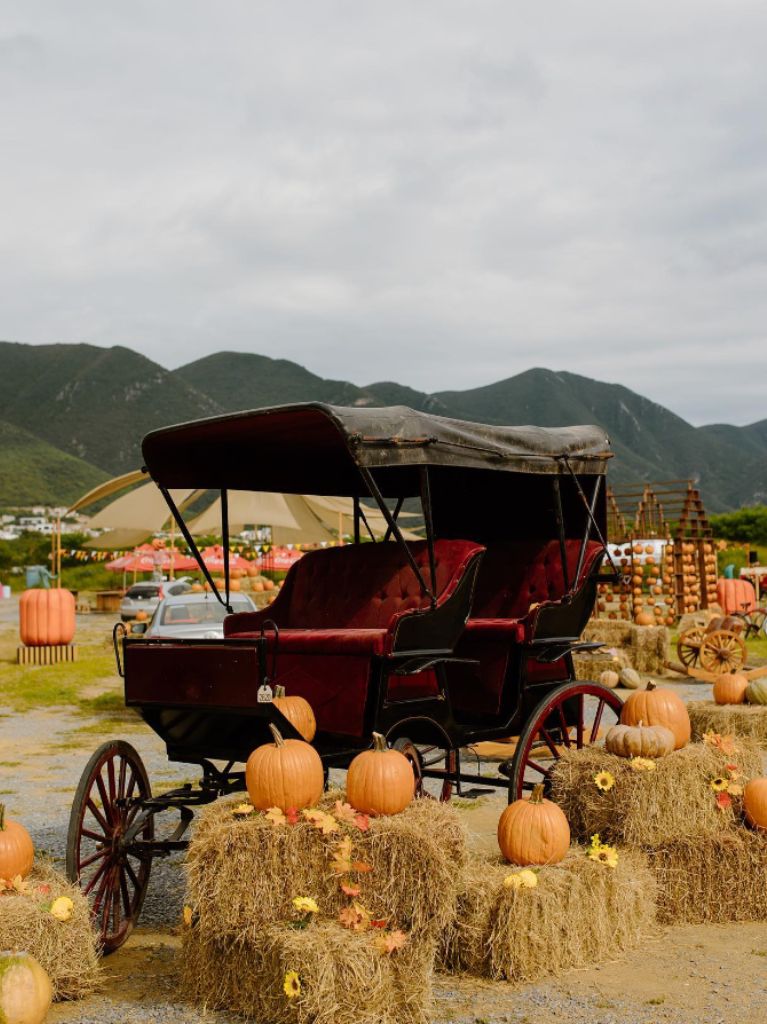 pumkin-patch-monterrey
