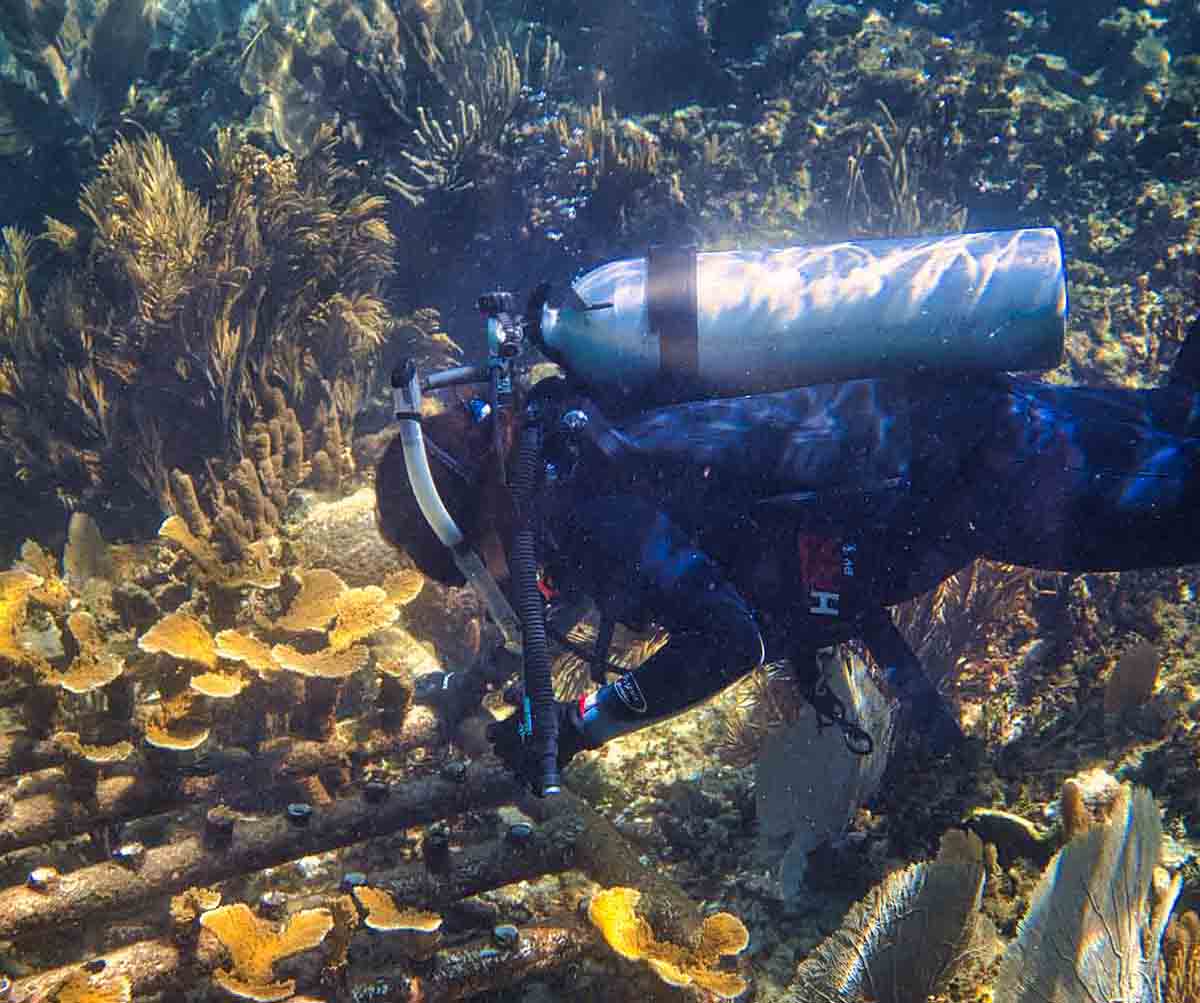 Reef Week en Mayakoba