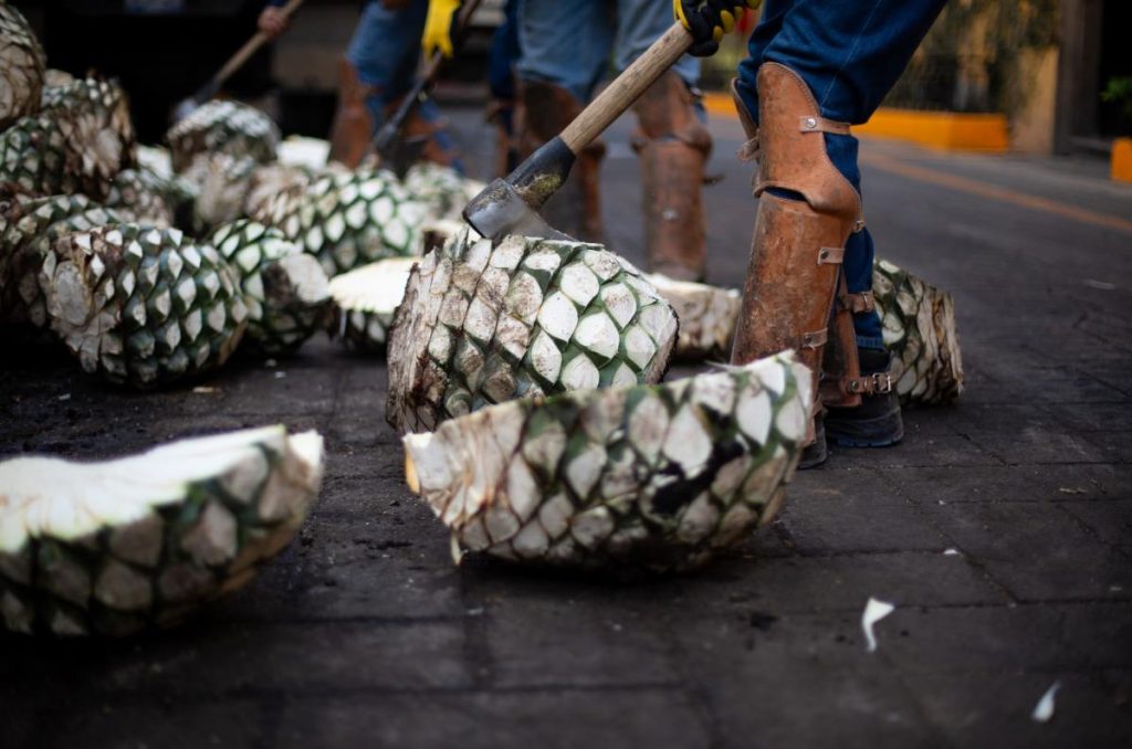 Cáele a las Fiestas Patrias en Tequila ¡Se pondrá buenísimo!