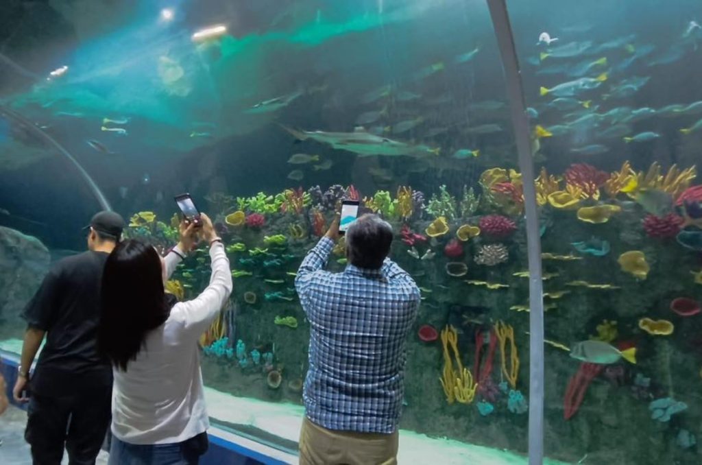 Acuario Michin en CDMX: Conoce el precio, horario y qué especies hay