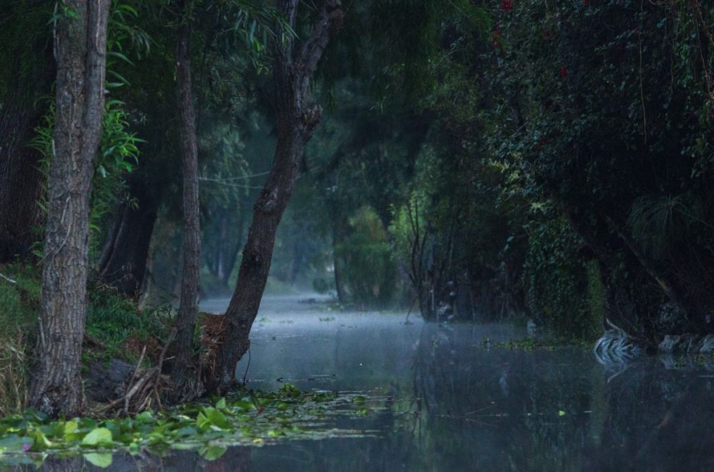 Todo lo que necesitas saber sobre el Amanecer Chinampero por Día de Muertos