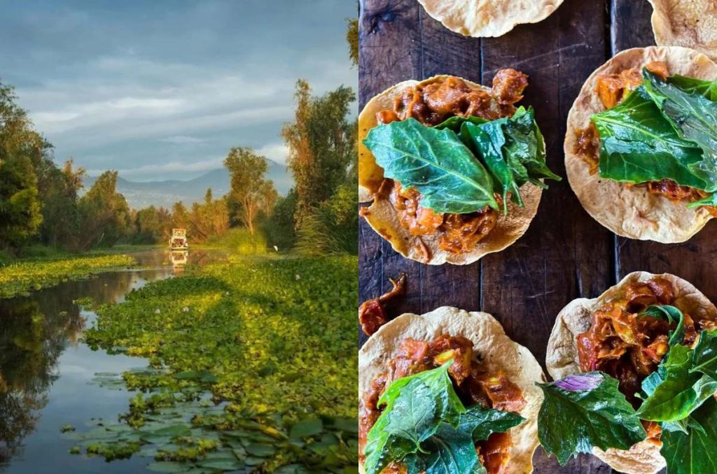 Cáele a esta cena por las chinampas de Xochimilco ¡Te fascinará!