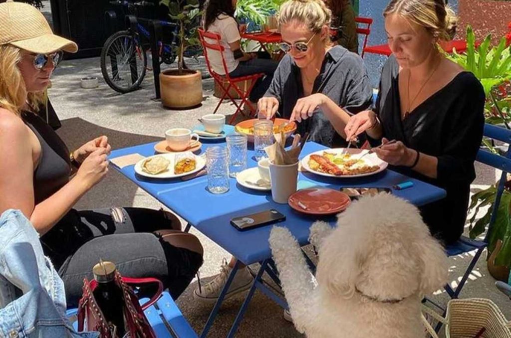 Restaurantes Pet-friendly