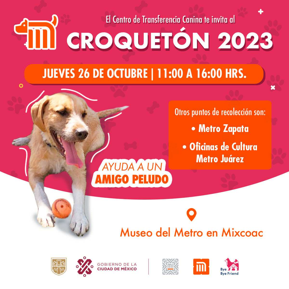 Croquetón Centro de Transferencia Canina del Metro de CDMX