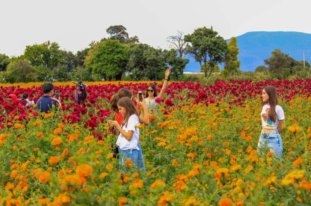 Descubre el Festival de las Almas y las Flores 2023 ¡En Michoacán!