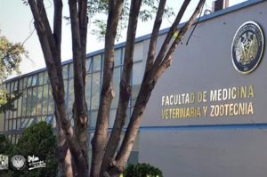 Suspenden clases por chinches en la Facultad de Veterinaria de la UNAM