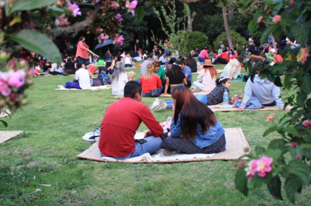 picnic nocturno de octubre en el Bosque de Chapultepec