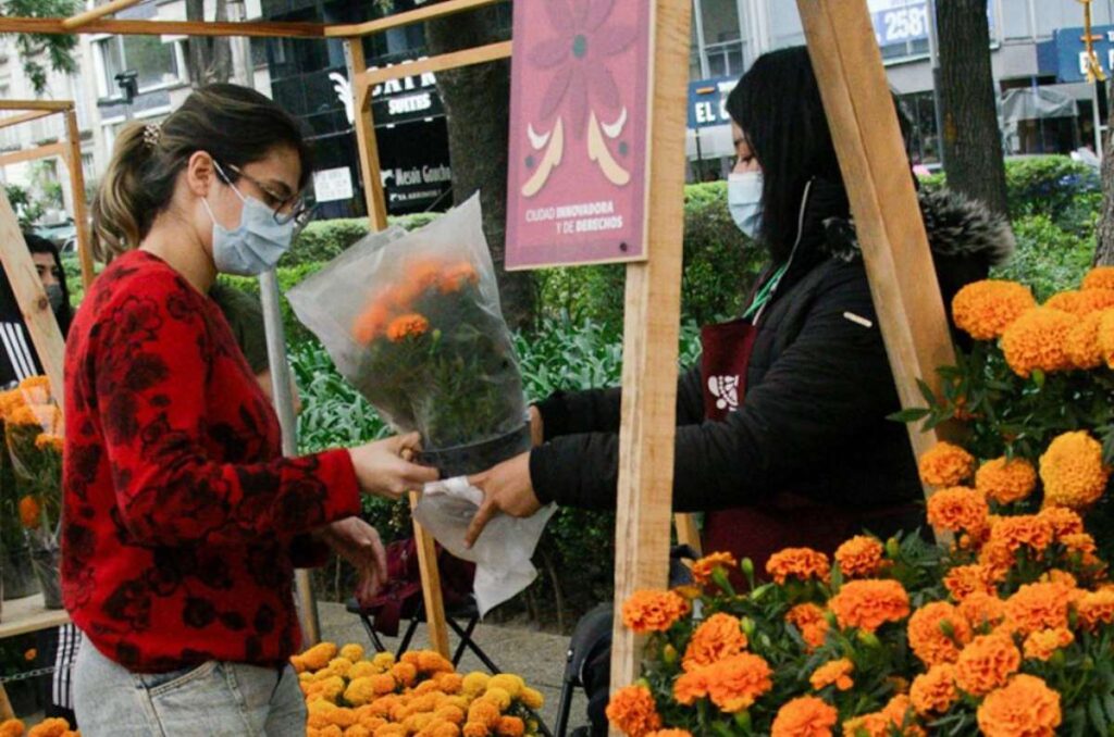 festival de flores de cempasúchil en reforma