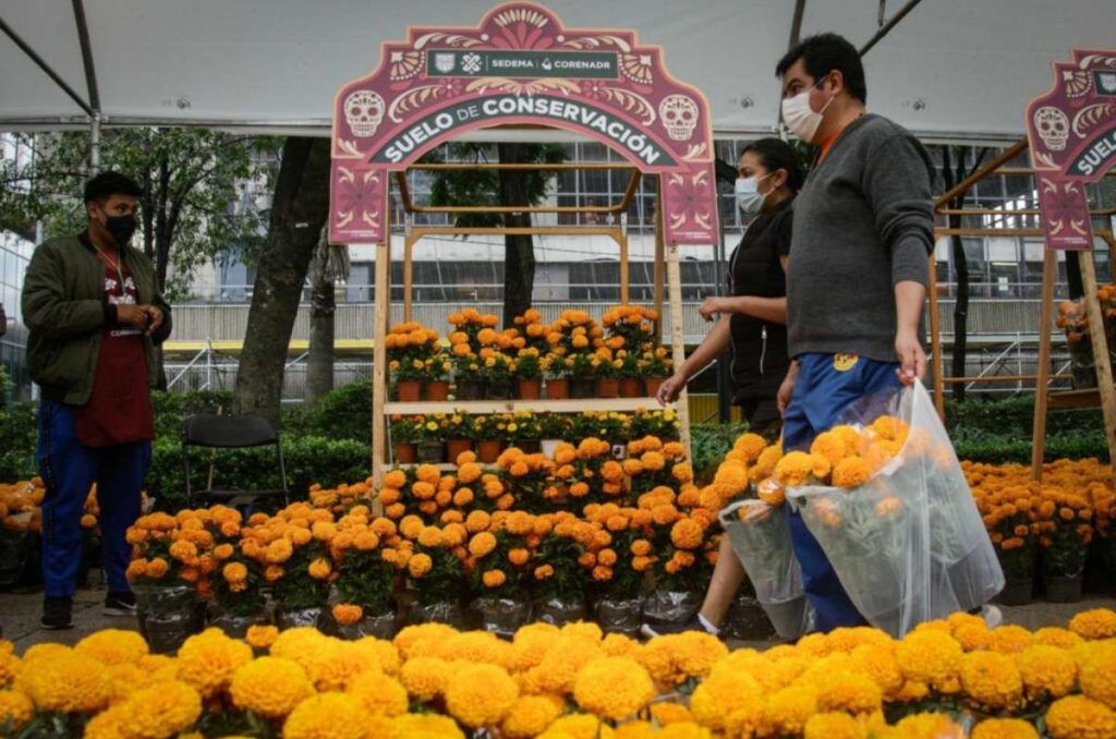 festival flores de cempasúchil 2023