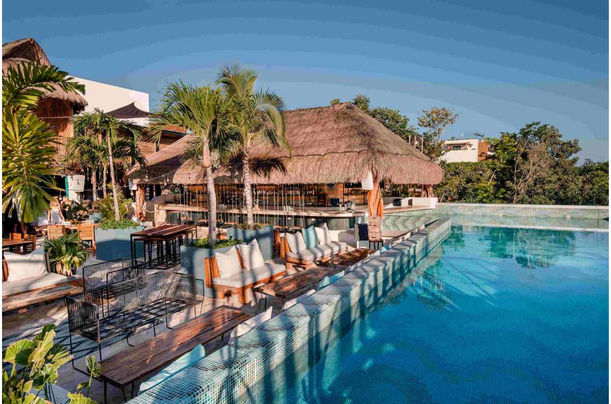 Los prestigiosos premios America Best of Best Awards nominan a Mayan Monkey