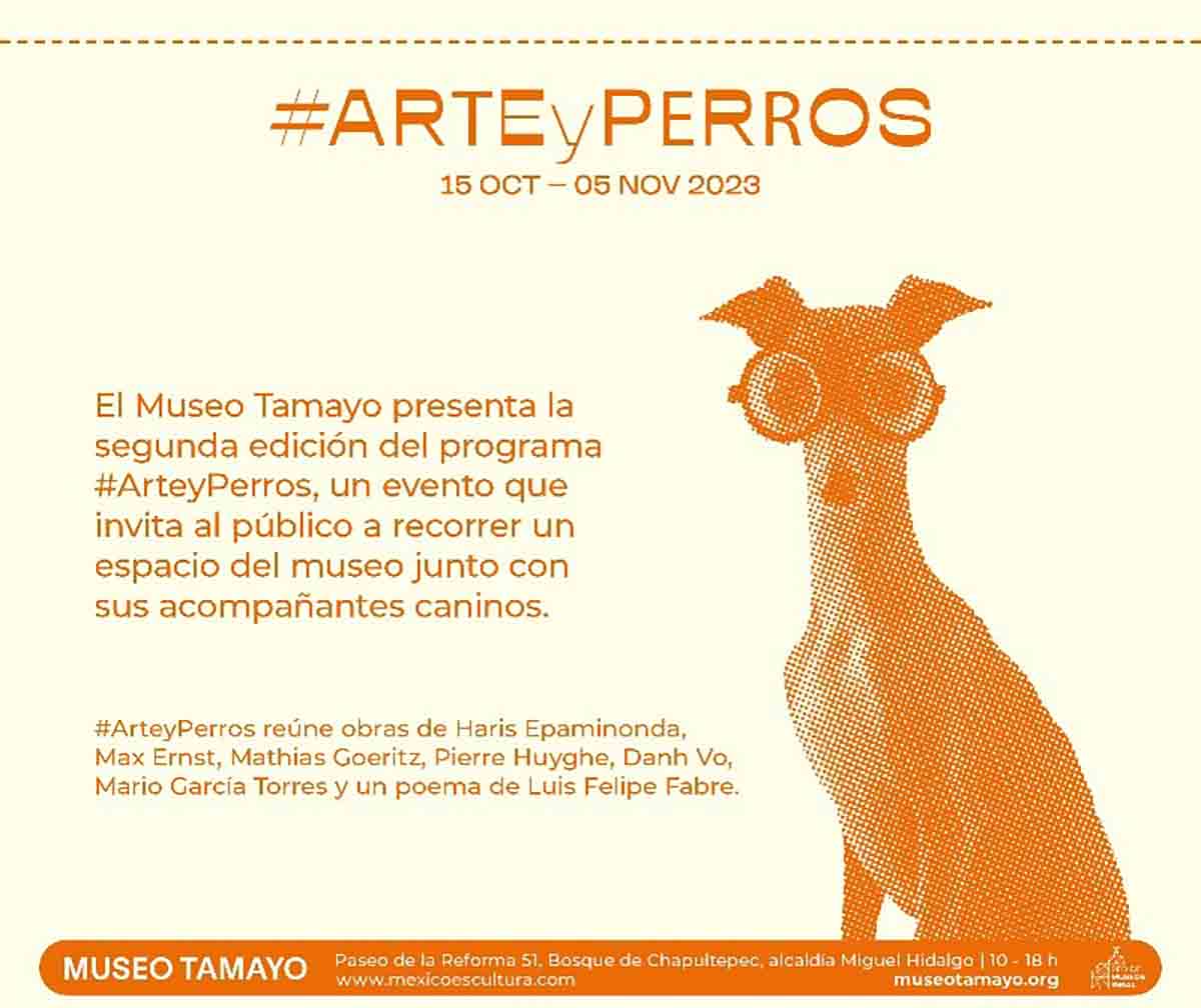 Museo Pet Friendly: el Tamayo inaugura exposición de perros 1