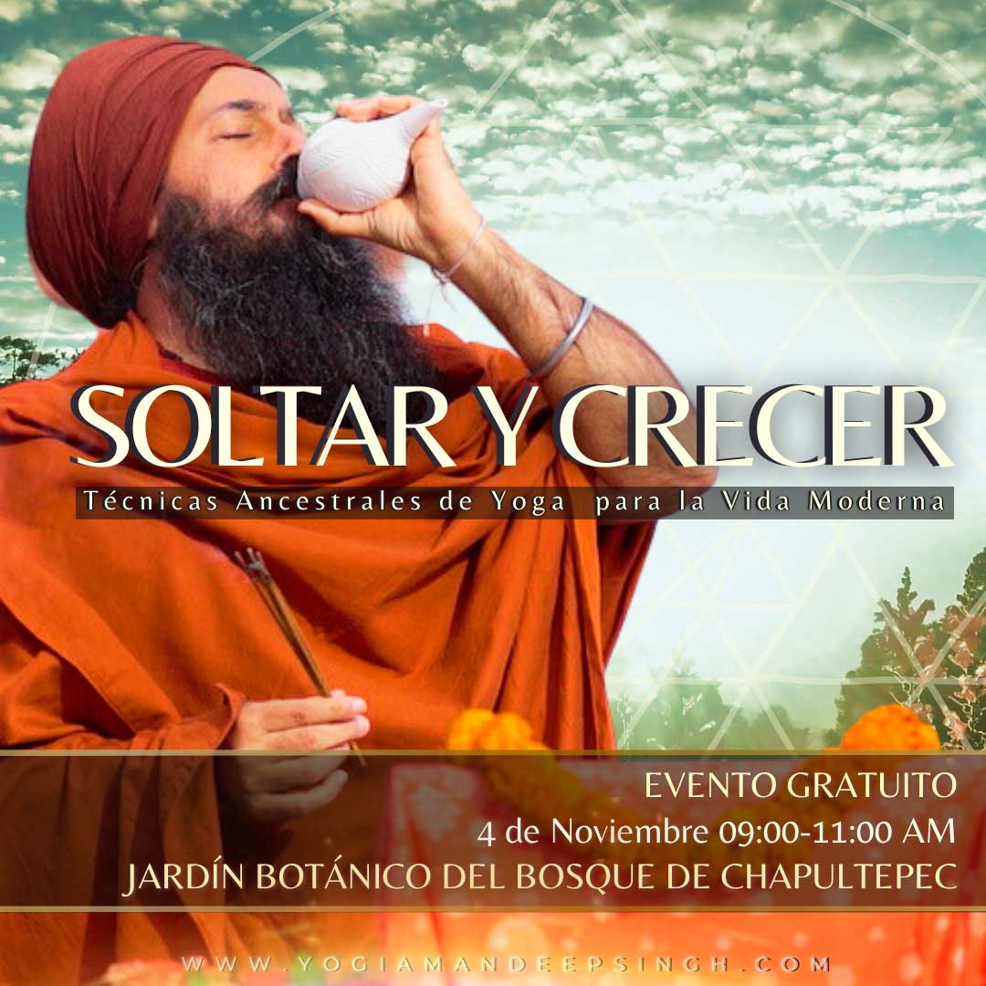 ¡Namasté! Vive una clase de Yogi Amandeep en el jardín botánico de Chapultepec
