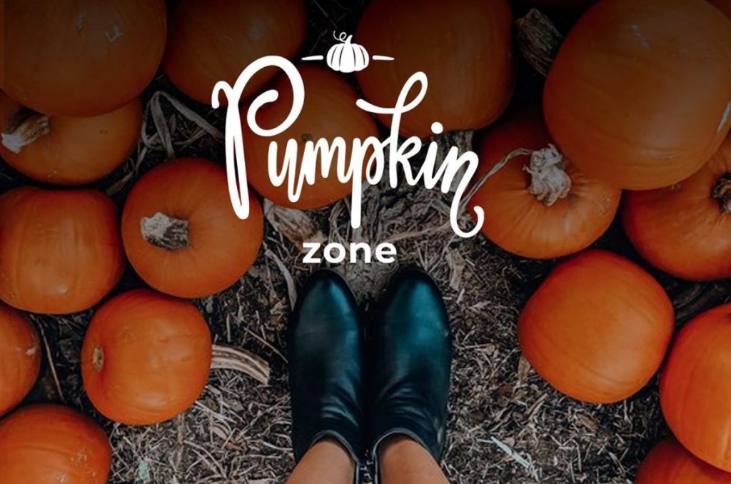 ¡Ay nanita! Así es la misteriosa Pumpkin Zone