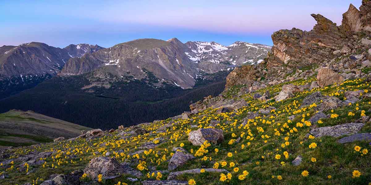 Denver: Guía de 7 cosas que debes hacer: museos, conciertos y montañas 3