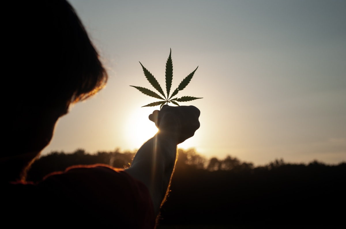 Weed Trade Show 2023: la expo con lo mejor del cannabis