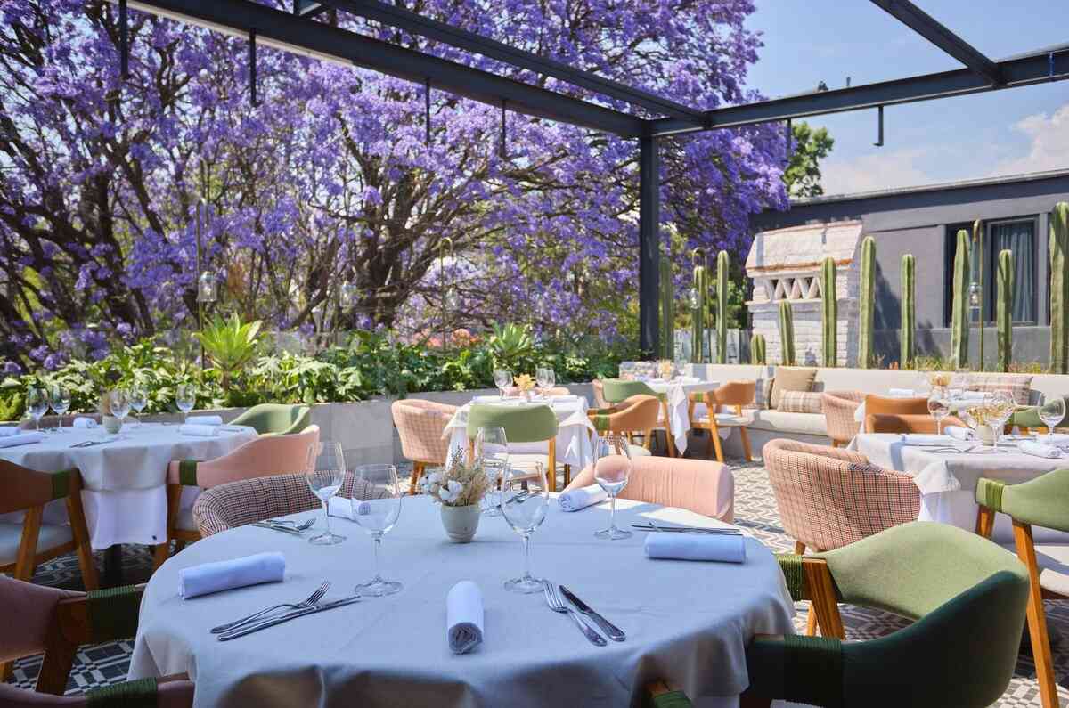 Zagala: un novedoso restaurante español en CDMX