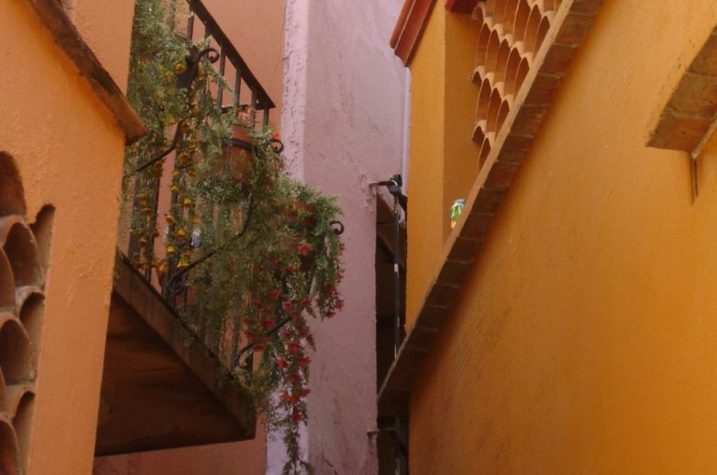 Callejoneada de Solteros en Guanajuato