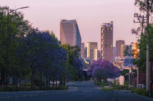 Las colonias con más parques en la Ciudad de México