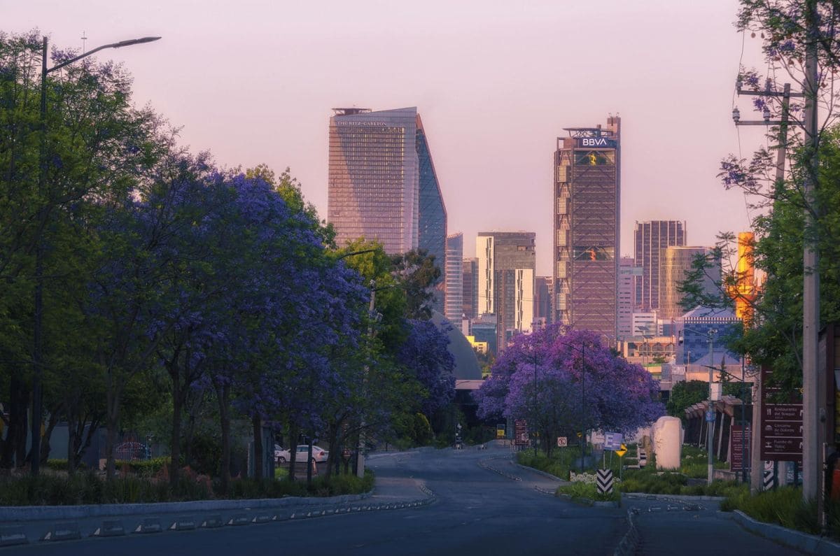 Las colonias con más parques en la Ciudad de México