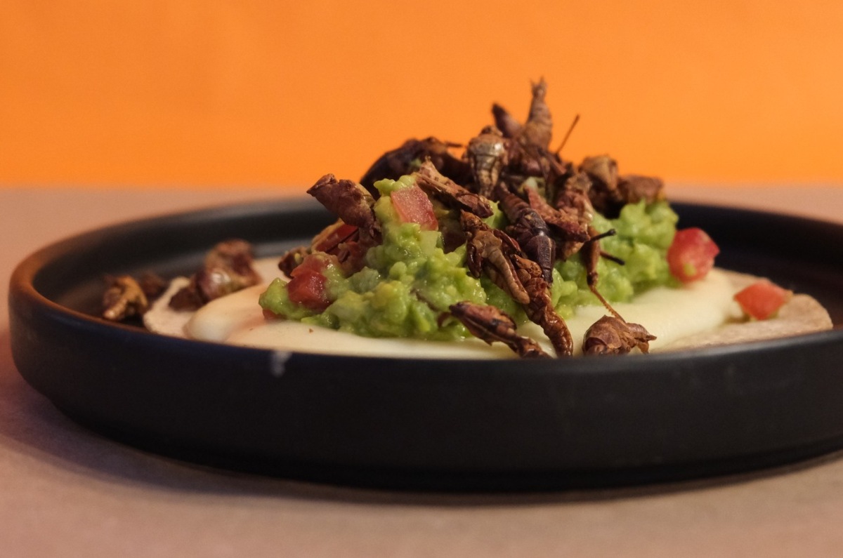 deli-deli-asi-es-el-famoso-come-todo-en-cdmx-de-290-4
