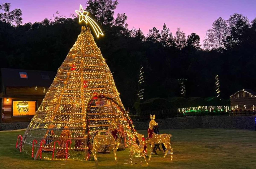 Distrito Polar: experiencia navideña con villa iluminada y un bosque mágico