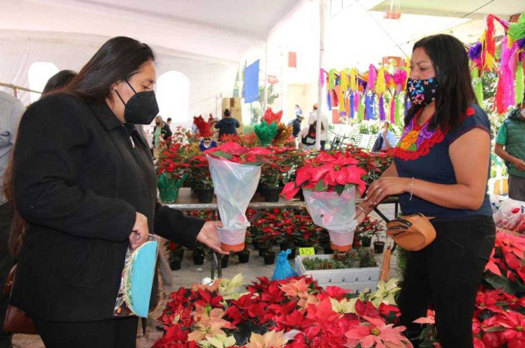 feria de nochebuenas en iztacalco