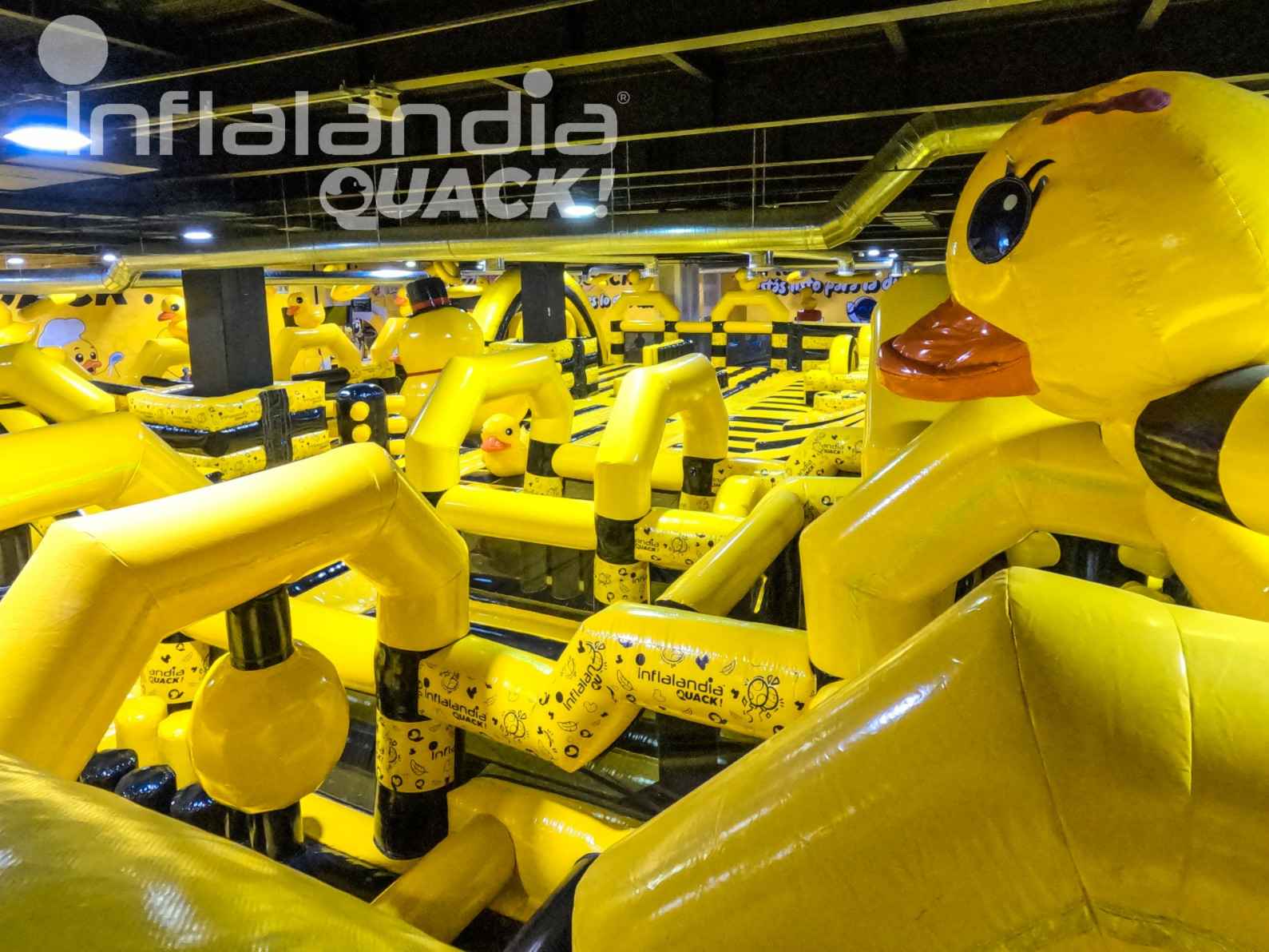 Fotos: Inflalandia QUACK!